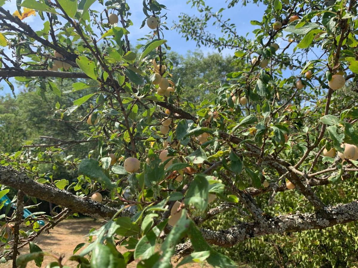 Le Grain De Louise Bed and Breakfast Lancié Εξωτερικό φωτογραφία